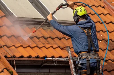 Démoussage et hydrofuge de toiture à Bonnefamille